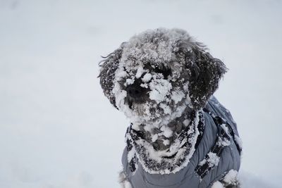 winter