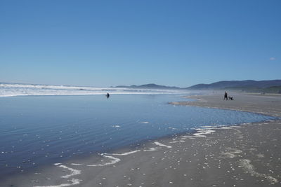 Scenic view of beach against clear blue sky