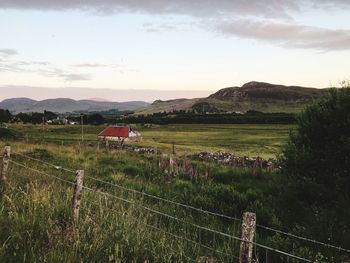 Scenic view of field against sky