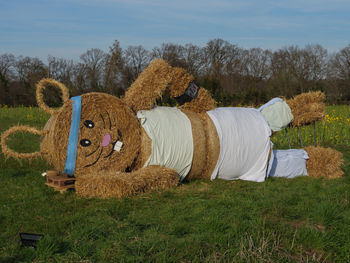 Easter bunnies in the german muensterland