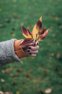 Close-up of woman hand holding flower