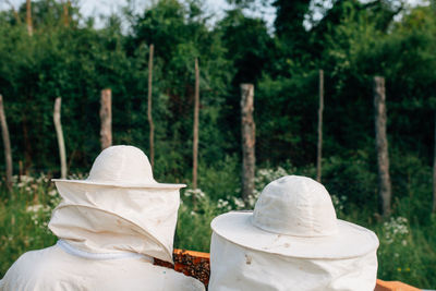 Rear view of beekeepers examining beehive