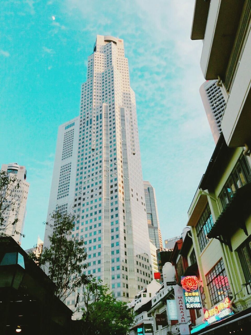 city, skyscraper, architecture, building exterior, built structure, low angle view, downtown district, sky, city life, modern, outdoors, financial district, no people, day, tree, cityscape