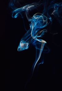 Close-up of jellyfish against black background