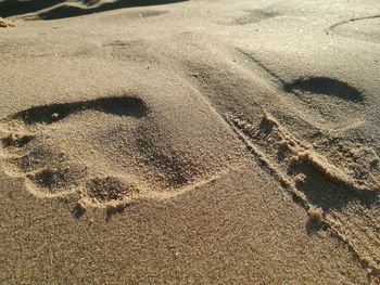 High angle view of footprints on beach