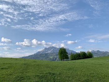 Scenic view of field against sky