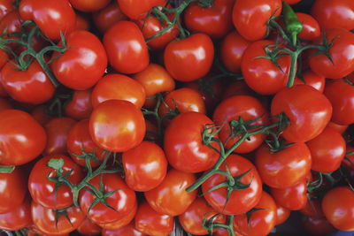 Close-up of tomatoes