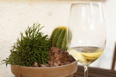 Close-up of drink on glass table