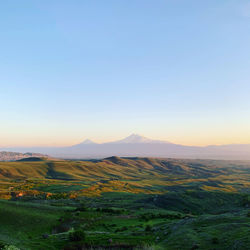 Scenic view of field against clear sky