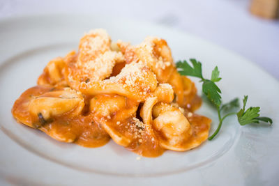 Close-up of cappelletti pasta in plate