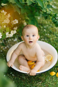 High angle view of cute baby boy in bathtub