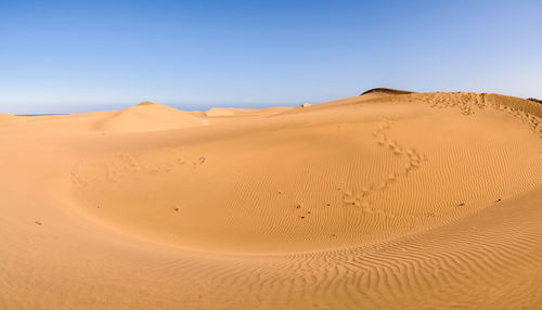 Scenic view of desert against clear sky