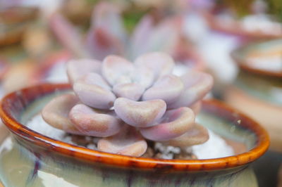 Close-up of noodles in bowl on table