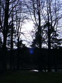 Silhouette trees on landscape against sky