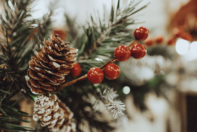 Forest cones and red berries on the christmas tree. new year's composition. festive mood. winter