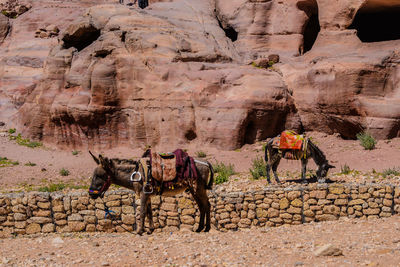 Graffiti on rock formation