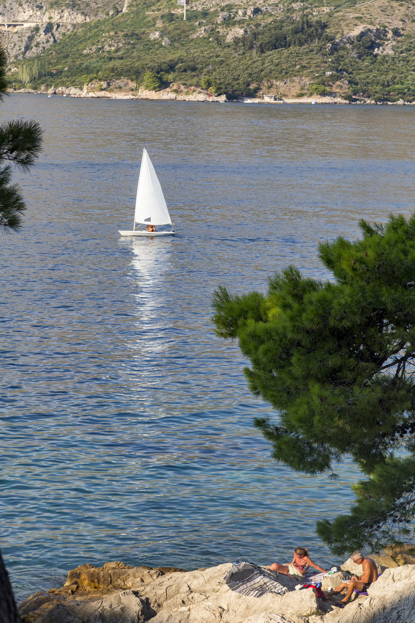 SAILBOAT SAILING ON SEA