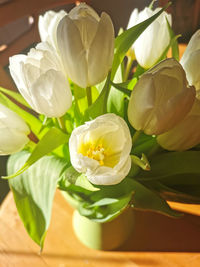 Close-up of white flowering plant