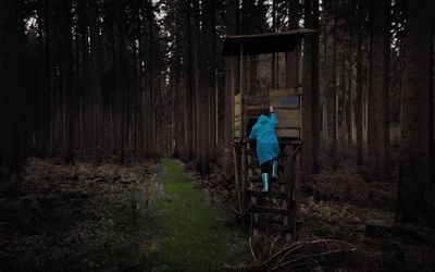 Rear view of man climbing on tree house in forest