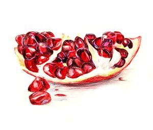 High angle view of red berries against white background