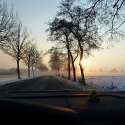 Road amidst trees against sky during winter