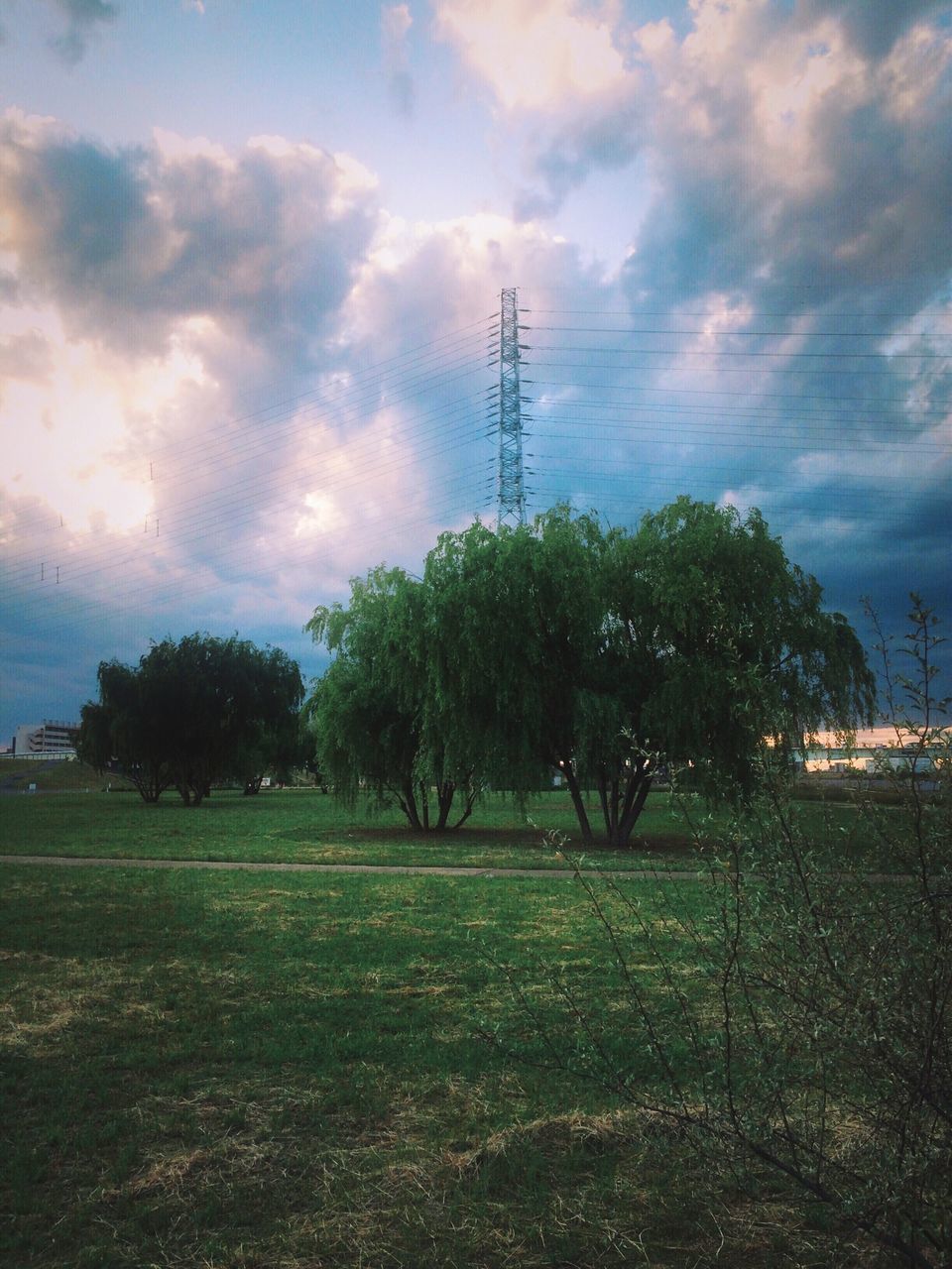 sky, tree, field, tranquility, tranquil scene, landscape, cloud - sky, grass, scenics, growth, nature, electricity pylon, beauty in nature, power line, cloud, cloudy, green color, rural scene, electricity, grassy