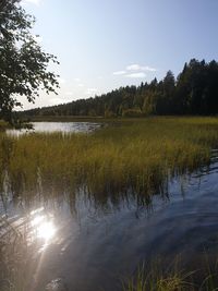 Scenic view of lake against sky