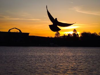 Silhouette of people in water at sunset