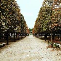 Footpath amidst trees in park against sky