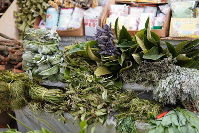 Close-up of vegetables for sale