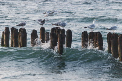 Scenic view of sea