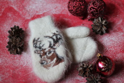 High angle view of a rabbit on snow