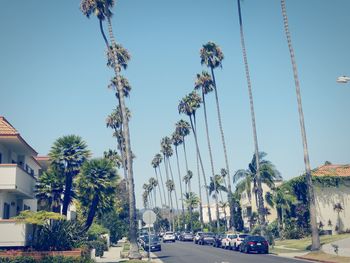 Panoramic view of road and trees against clear blue sky