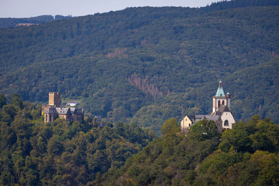 High angle view of trees and buildings