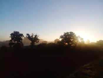 Sun shining through trees on field