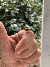 Midsection of person holding small