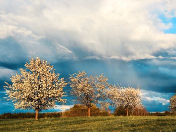 After rain 