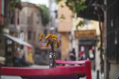 Close-up of bicycle on city