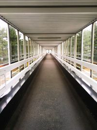 Empty road along trees