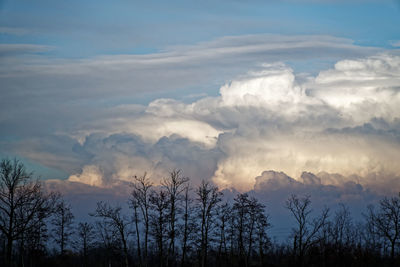 Scenic view of silhouette trees against sky