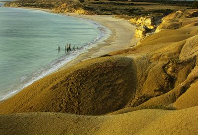 Scenic view of beach