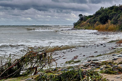 Scenic view of sea against sky