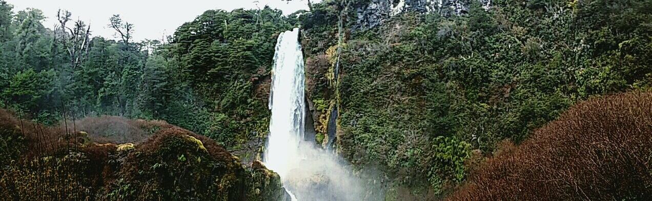 WATERFALL IN FOREST