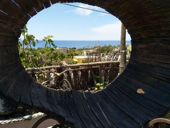 Trees seen through old wooden wall against sky