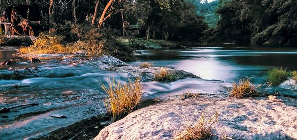 River flowing through rocks in forest