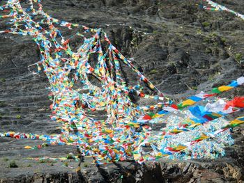 Close-up of colorful balloons