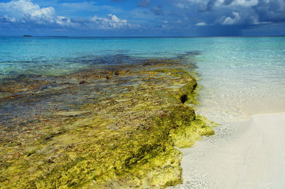 Scenic view of sea against cloudy sky