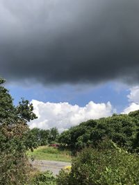 Scenic view of landscape against sky