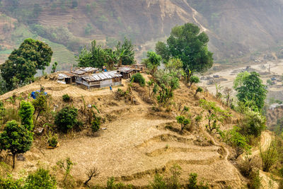 High angle view of trees and houses