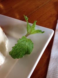 High angle view of vegetables in plate on table